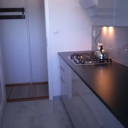 Apartment Wrzos *