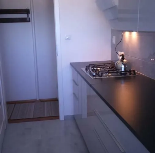 Апартаменты Wrzos *